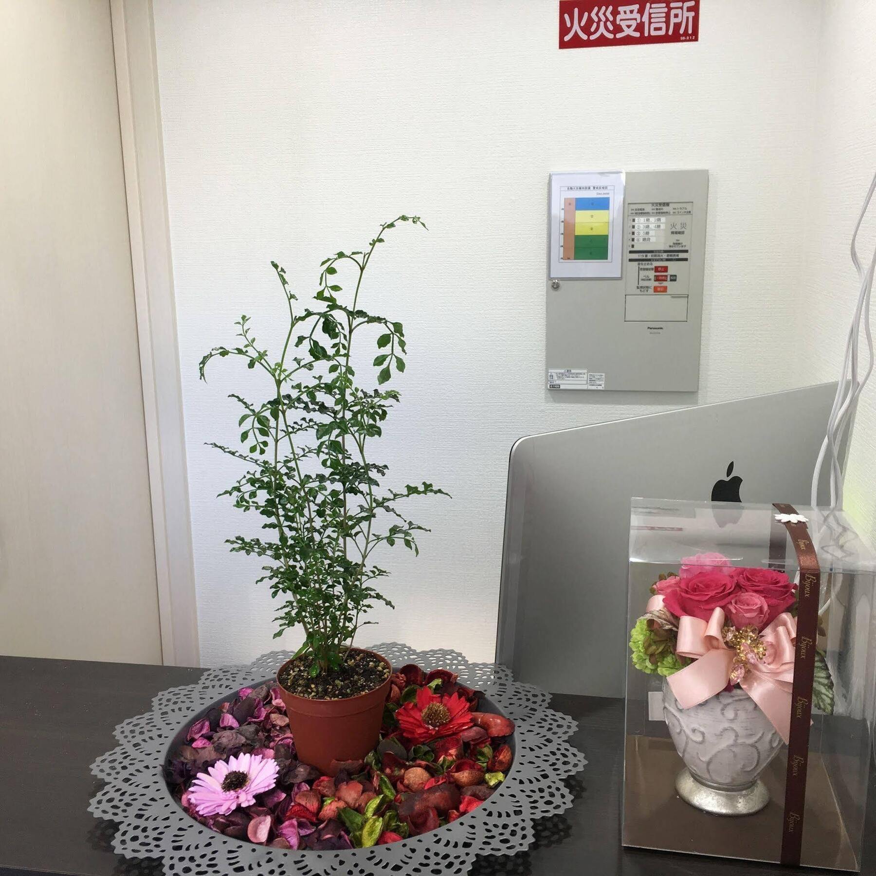 Coco Hostel Namba Osaka Eksteriør billede